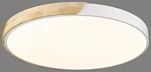 Светильник потолочный LED с пультом 445-067-01 Velante белый 1 лампа, основание коричневое белое в стиле современный кантри с пультом